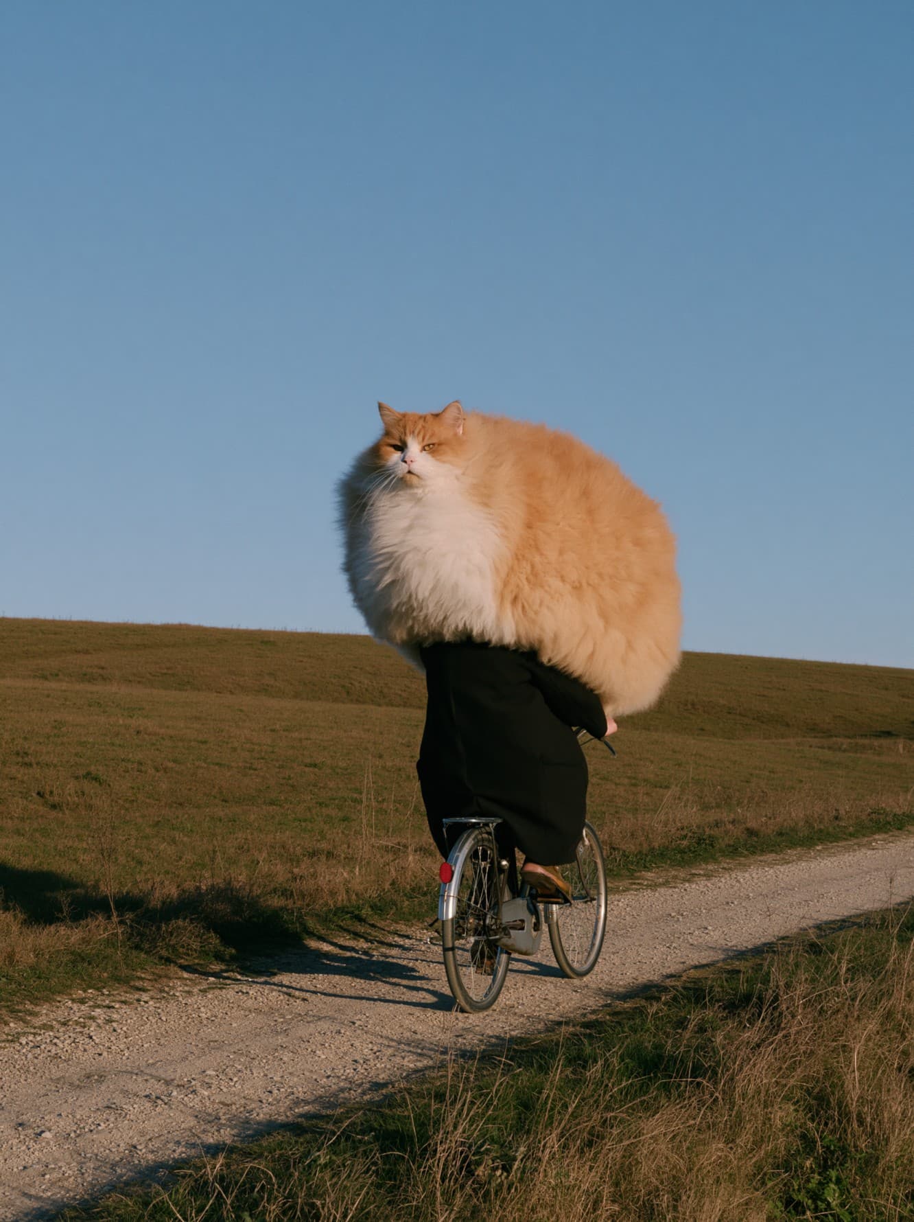 Big Momo on a bike